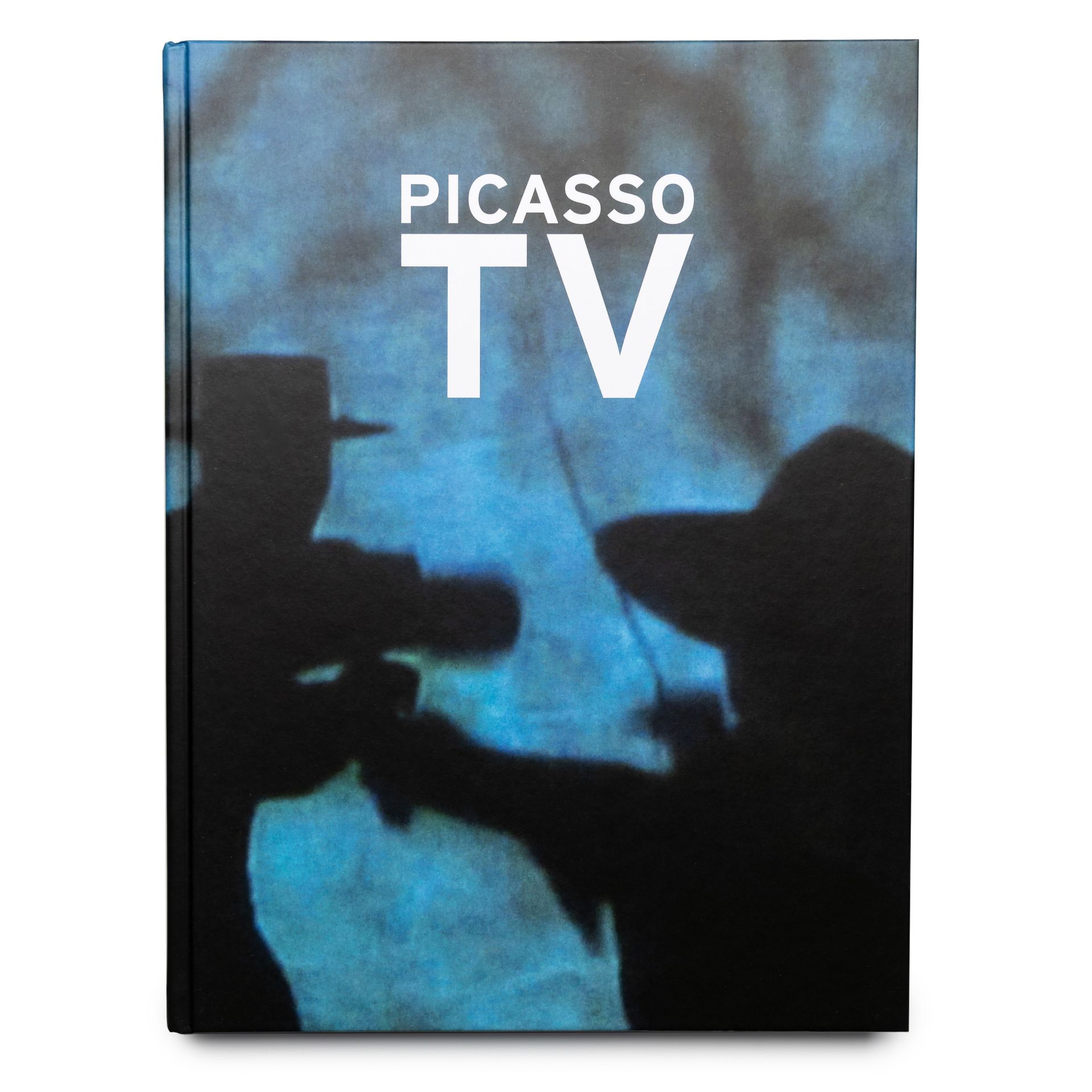 2014_PicassoTV-1